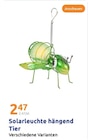 Solarleuchte hängend Tier im Angebot bei Action in Rheda-Wiedenbrück Solarleuchte hängend Tier Angebote bei Action Rheda-Wiedenbrück für 2,47 €