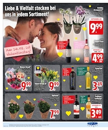 Blumen im EDEKA Prospekt "Wir lieben Lebensmittel." mit 30 Seiten (Augsburg)