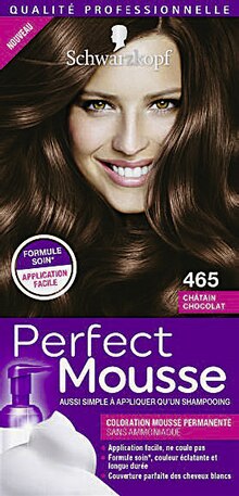 Casino Supermarchés Combaillaux - Coloration Perfect Mousse 465 Châtain Chocolat Promo Coloration Perfect Mousse 465 Châtain Chocolat dans le catalogue Casino Supermarchés "Le mois Casinomania" à Combaillaux