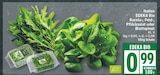 Rucola von EDEKA Bio im aktuellen EDEKA Prospekt