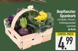 Bepflanzter Spankorb im Angebot bei E center in Regensburg Bepflanzter Spankorb Angebote bei E center Regensburg für 4,99 €