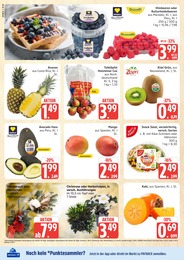 Marktkauf Pflanzen im Prospekt Marktkauf Pflanzen im Prospekt