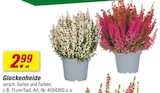 toom Baumarkt Badra - Glockenheide Angebot im Prospekt Glockenheide bei toom Baumarkt im Badra Prospekt für 2,99 €