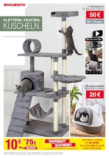Kratzbaum im aktuellen Woolworth Prospekt (Braunschweig) Kratzbaum im Woolworth Prospekt "Aktuelle Angebote" mit 35 Seiten (Braunschweig)
