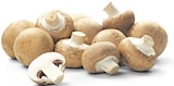 nahkauf Bad Segeberg - Braune Champignons Angebot im Prospekt Braune Champignons bei nahkauf im Bad Segeberg Prospekt für 1,49 €