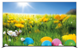 4K UHD OLED-TV K-65XR84PAEP im Angebot bei expert in Bensheim 4K UHD OLED-TV K-65XR84PAEP Angebote von SONY bei expert Bensheim für 1.899,00 €