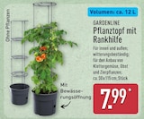 Aktuelles Pflanztopf mit Rankhilfe Angebot bei ALDI Nord in Bielefeld ab 7,99 €