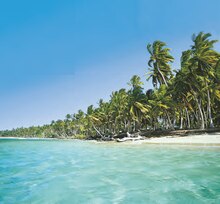 Netto Marken-Discount Bad Suderode - DOMINIKANISCHE REPUBLIK – Punta Cana DOMINIKANISCHE REPUBLIK – Punta Cana Angebot bei Netto Marken-Discount Bad Suderode im Prospekt "Reisen … zu Netto-Preisen!"