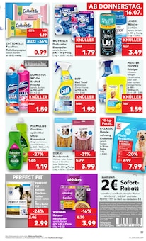 Waschmittel im aktuellen Kaufland Prospekt (Bremerhaven) Waschmittel im Kaufland Prospekt "Hier bin ich richtig" mit 56 Seiten (Bremerhaven)