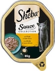 Katzenahrung von Sheba im aktuellen REWE Prospekt