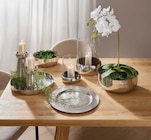 Windlicht im Angebot bei XXXLutz Möbelhäuser in Koblenz Windlicht Angebote von Ambia Home bei XXXLutz Möbelhäuser Koblenz für 7,99 €
