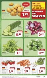 Aktueller combi Prospekt mit Kartoffeln, "Markt - Angebote", Seite 3