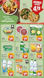 REWE Tiernahrung im Prospekt 