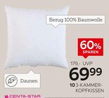 3-Kammer-Kopfkissen „Golden Glow“ im Angebot bei XXXLutz Möbelhäuser in Dorsten 3-Kammer-Kopfkissen „Golden Glow“ Angebote von Centa-Star bei XXXLutz Möbelhäuser Dorsten für 69,99 €