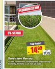 Kunstrasen Mercury im Angebot bei wohnen & sparen Wiegand in Coburg Kunstrasen Mercury Angebote bei wohnen & sparen Wiegand Coburg für 14,99 €