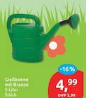 Gießkanne mit Brause im aktuellen budni Prospekt