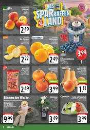 Stauden im EDEKA Prospekt in Neuwied Aktueller EDEKA Prospekt mit Stauden, "Aktuelle Angebote", Seite 2