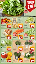 REWE Tomaten im Prospekt 