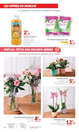 Plantes Angebote im Prospekt "Super U" von Super U auf Seite 28
