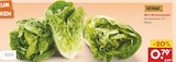 Mini-Romanasalat bei Netto Marken-Discount im Northeim Prospekt für 0,79 €