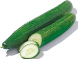 Netto mit dem Scottie Neumünster - Gurke Angebot im Prospekt Gurke bei Netto mit dem Scottie im Neumünster Prospekt für 0,49 €