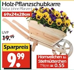 Holz-Pflanzschubkarre bei Wreesmann im Prospekt "" für 0,55 €