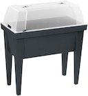 Table de culture avec couvercle - Parkside - Lidl Table de culture avec couvercle - Parkside à 19,99 € dans le catalogue Lidl