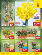 Aktueller Netto Marken-Discount Prospekt mit Blumen, "Aktuelle Angebote", Seite 7