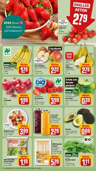 Äpfel im REWE Prospekt "Dein Markt" mit 30 Seiten (Regensburg)