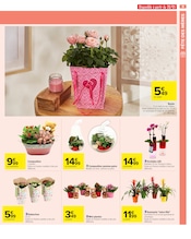 Plantes Angebote im Prospekt "FÊTE DES MÈRES" von Carrefour Plantes Angebote im Prospekt "FÊTE DES MÈRES" von Carrefour auf Seite 11