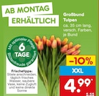 Großbund Tulpen  im aktuellen Netto Marken-Discount Prospekt für 4,99 €