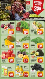 Ähnliche Angebote wie Vogelkäfig im Prospekt "Dein Markt" auf Seite 4 von REWE in Pforzheim