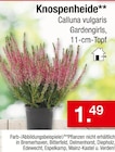 Zimmermann Delmenhorst - Knospenheide Angebot im Prospekt Knospenheide bei Zimmermann im Delmenhorst Prospekt für 1,49 €