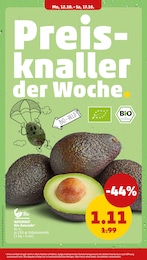 Penny Avocado im Prospekt Penny Avocado im Prospekt