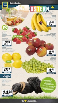 Äpfel im E center Prospekt "Aktuelle Angebote" mit 26 Seiten (Münster)