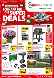 Aktueller Hagebaumarkt Baumärkte Prospekt für Wittenförden: SCHNAPP DIR DIE SUPER DEALS mit 8} Seiten, 01.08.2026 - 08.08.2026
