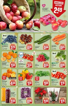 Pflanzen im REWE Prospekt "Dein Markt" mit 40 Seiten (Nürnberg)