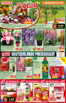 Kerzen im Norma Prospekt "Mehr fürs Geld" mit 21 Seiten (Mannheim)