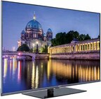 LED-TV 43 LED 8231 DG Angebote von KENDO bei expert Weißwasser für 399,00 €