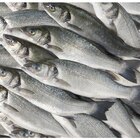 Bar d'élevage dans le catalogue Carrefour Market