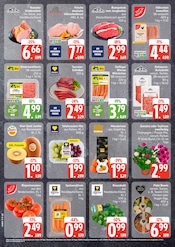 Pflanzen im EDEKA Prospekt in Buxtehude Aktueller EDEKA Prospekt mit Pflanzen, "Top Angebote", Seite 2