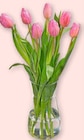Tulpen bei tegut im Prospekt "" für 2,99 €