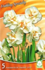 Aktuelle Narzissen Angebote bei Thomas Philipps in Essen Aktuelles Narzissen Sir Winston Churchill Angebot bei Thomas Philipps in Essen ab 2,22 €