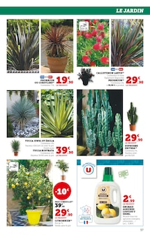 Promotion Arbuste dans le prospectus Hyper U, valable du 29/04/2025 au 11/05/2025 Promo Arbuste dans le catalogue Hyper U du moment à la page 37