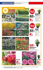 Fleurs Angebote im Prospekt "Le jardin À PRIX BAS" von Super U auf Seite 2