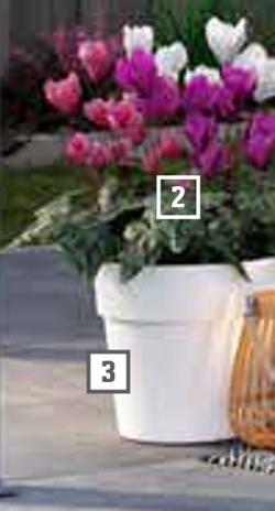 OBI Letzlingen - Alpenveilchen-Trio oder Blumentopf Elho „Vibia Straight“ Alpenveilchen-Trio oder Blumentopf Elho „Vibia Straight“ Angebot bei OBI Letzlingen im Prospekt ALLES MACHBAR