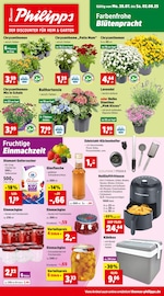 Aktueller Thomas Philipps Discounter Prospekt in Ortenburg und Umgebung, "Top Angebote" mit 12 Seiten, 28.07.2025 - 02.08.2025