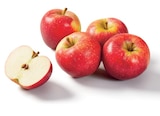 Lidl Kingersheim - Promo Pomme bicolore Promo Pomme bicolore à 2,98 € dans le catalogue Lidl à Kingersheim