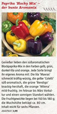 Paprika bei BAUHAUS in Baden-Baden Paprika im Angebot bei BAUHAUS Baden-Baden für 3,99 €