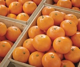 Promo Mandarine à 1,69 € dans le catalogue Netto à Saint-Nicolas-d'Aliermont